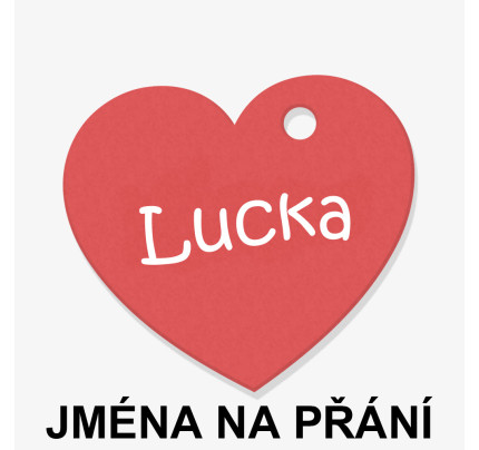 Visačka - srdce 4 x 3,5 cm - Jméno (24 ks/bal)