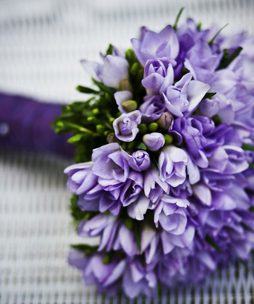 Fialová svatba-Prohlédněte si fialovou svatbu a kupte fialové svatební doplňky